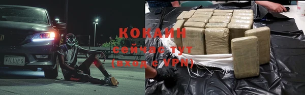 молекула духа Михайлов
