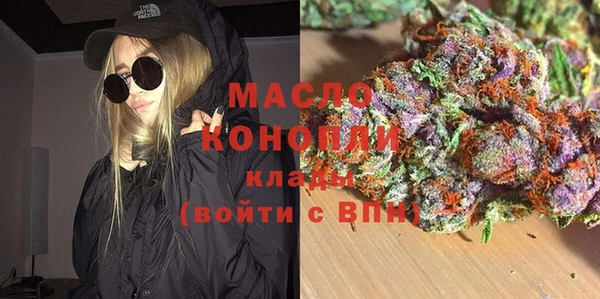 молекула духа Михайлов