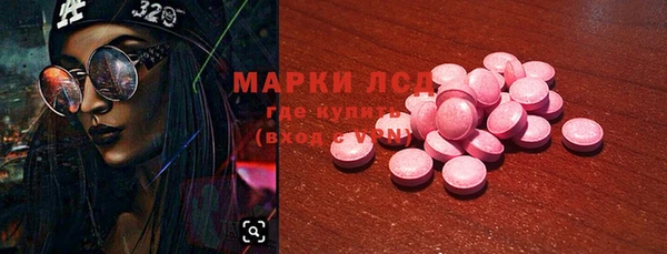 молекула духа Михайлов