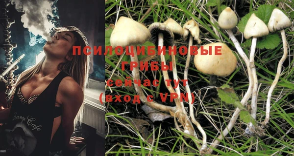 молекула духа Михайлов