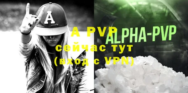 молекула духа Михайлов