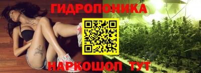 mdpv Кандалакша