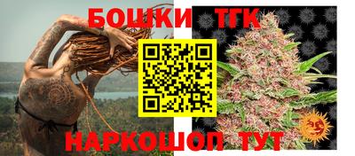 mdpv Кандалакша