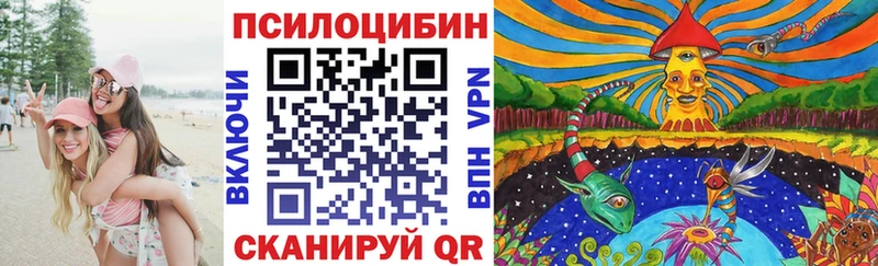 закладка  Набережные Челны  Псилоцибиновые грибы Magic Shrooms 