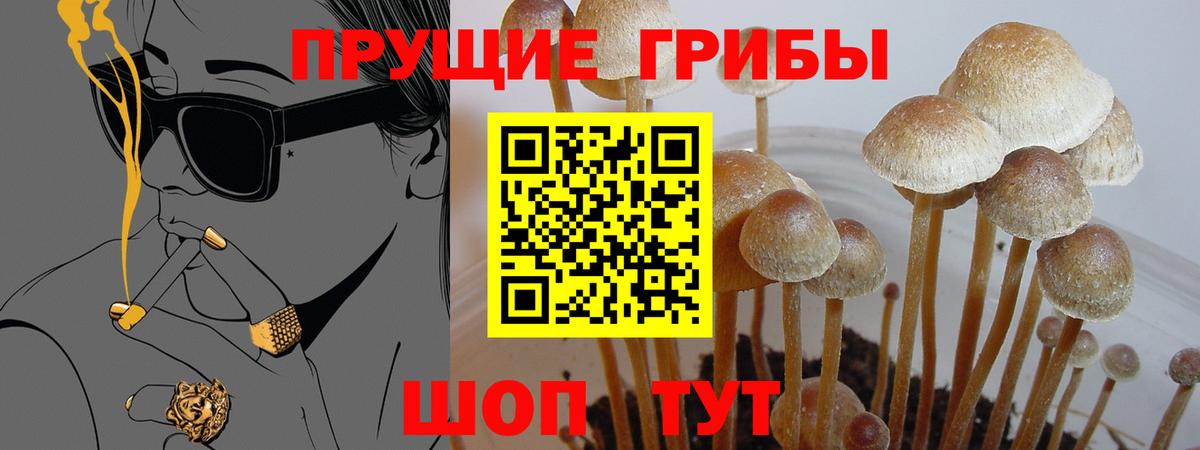 Набережные Челны  Галлюциногенные грибы Cubensis  Вход с VPN  Галлюциногенные грибы Psilocybe 
